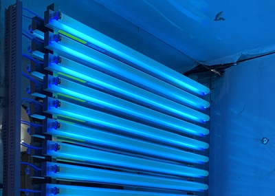 如何通過(guò)UV紫外光照實(shí)驗(yàn)箱構(gòu)建動(dòng)物皮膚光老化模型？